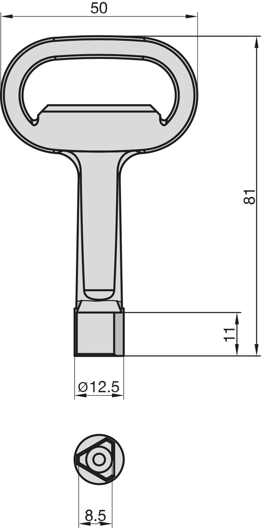BASI 308KA Dornschlüssel Innendreikant 8mm mit Kapselheber für Müllcontainer