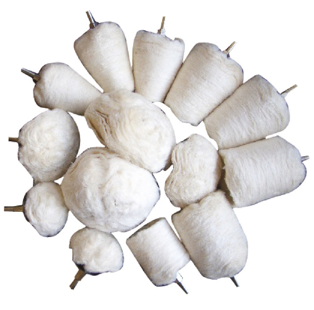 BGS 3995 Sortiment Polierköpfe Antrieb 6,3mm (1/4") 14 teilig