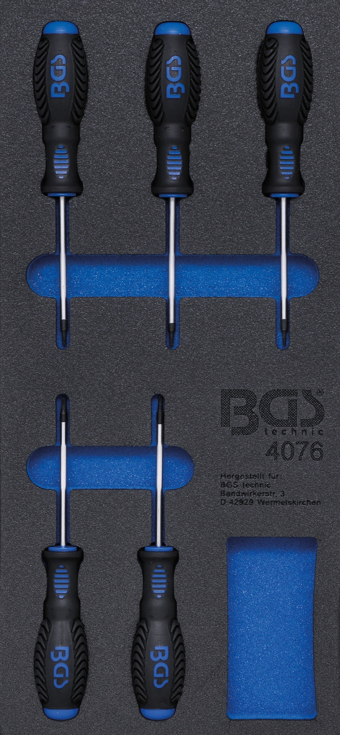 BGS 4076 Satz Schraubendreher T-Profil (für Torx) T6 - T10 Werkstattwageneinlage 1/3 5 teilig
