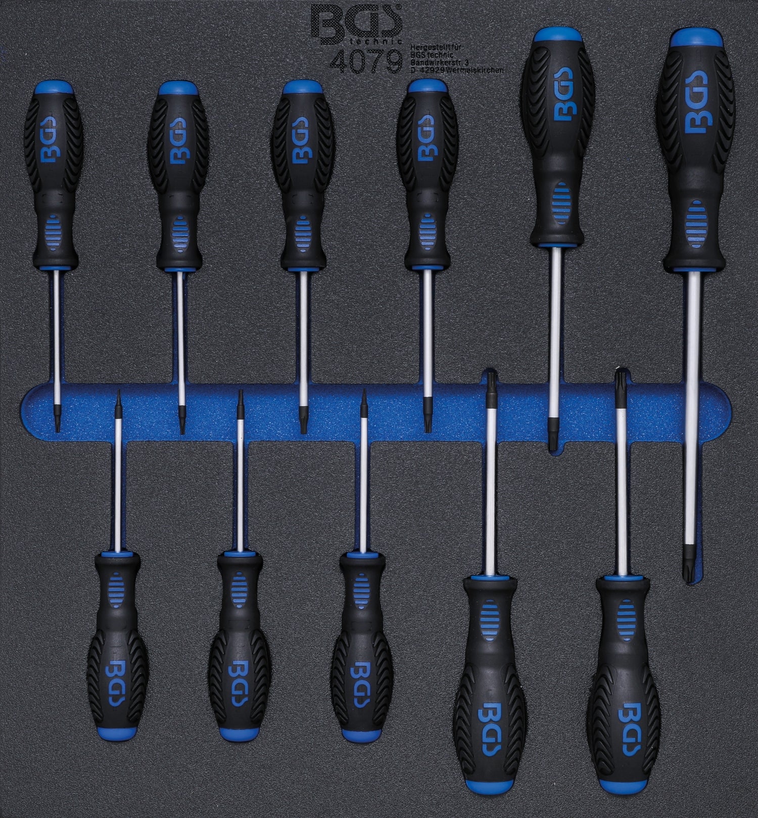 BGS 4079 Satz Schraubendreher T-Profil (für Torx) T6 - T40 Werkstattwageneinlage 2/3