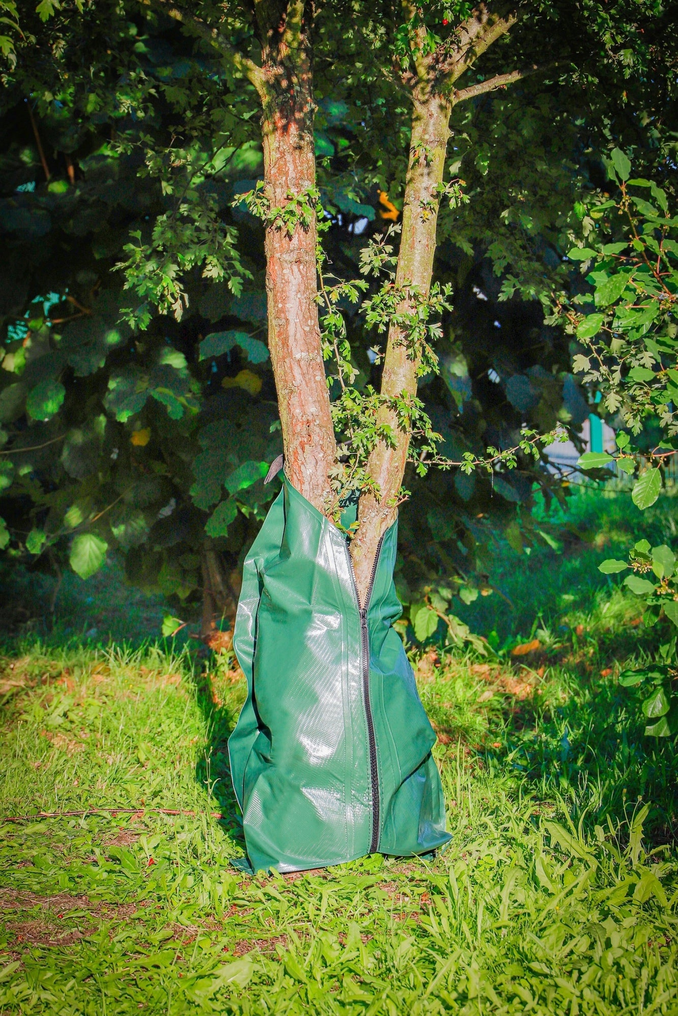 BGS DIY 53775 Bewässerungssack Fassungsvermögen 75 Liter
