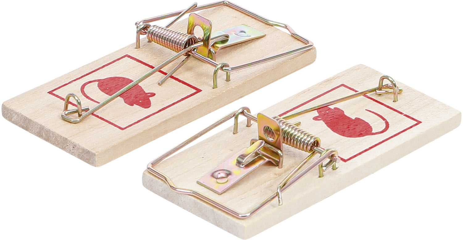 BGS DIY 80782 Mausefallen 2 teilig