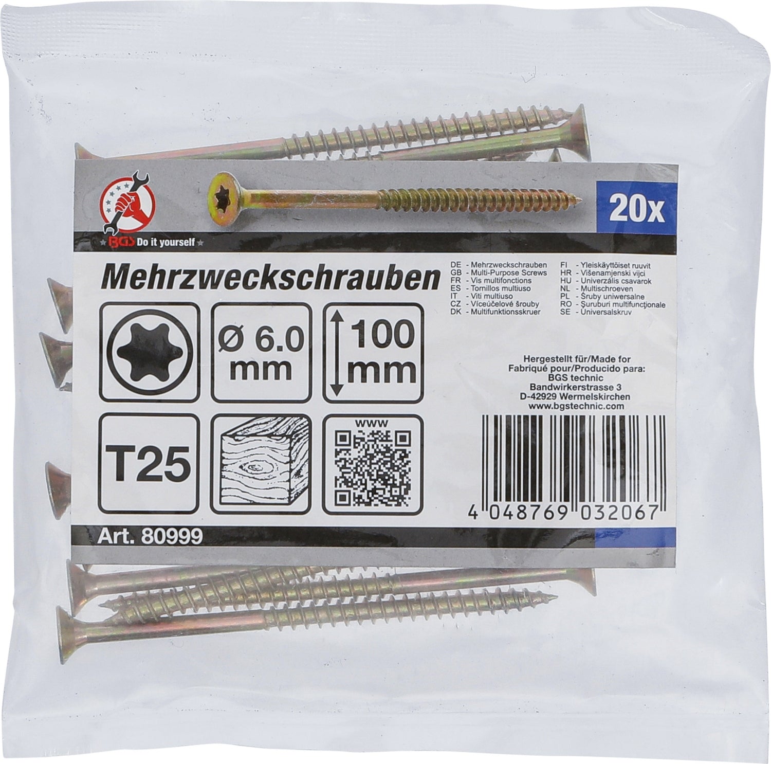 BGS DIY 80999 Satz Mehrzweckschrauben T-Profil (für Torx) T25 6,0 x 100mm 20 Stück