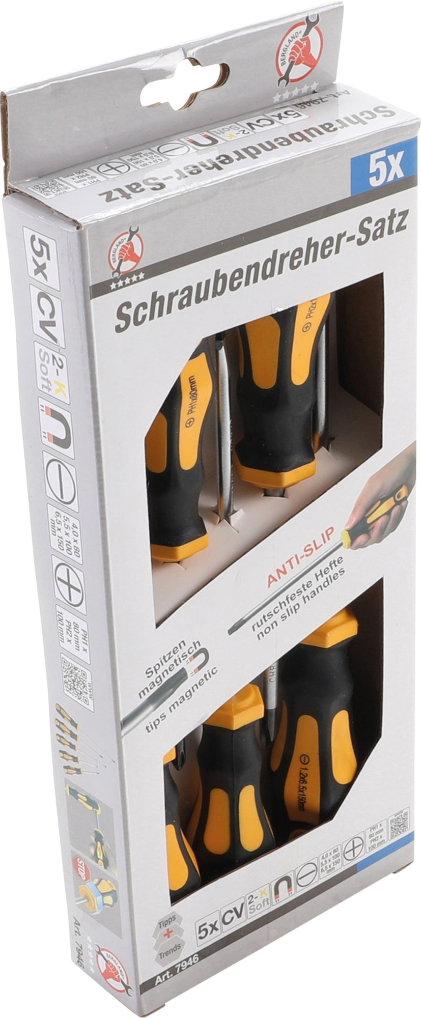 BGS DIY 7946 Satz Schraubendreher 5 teilig