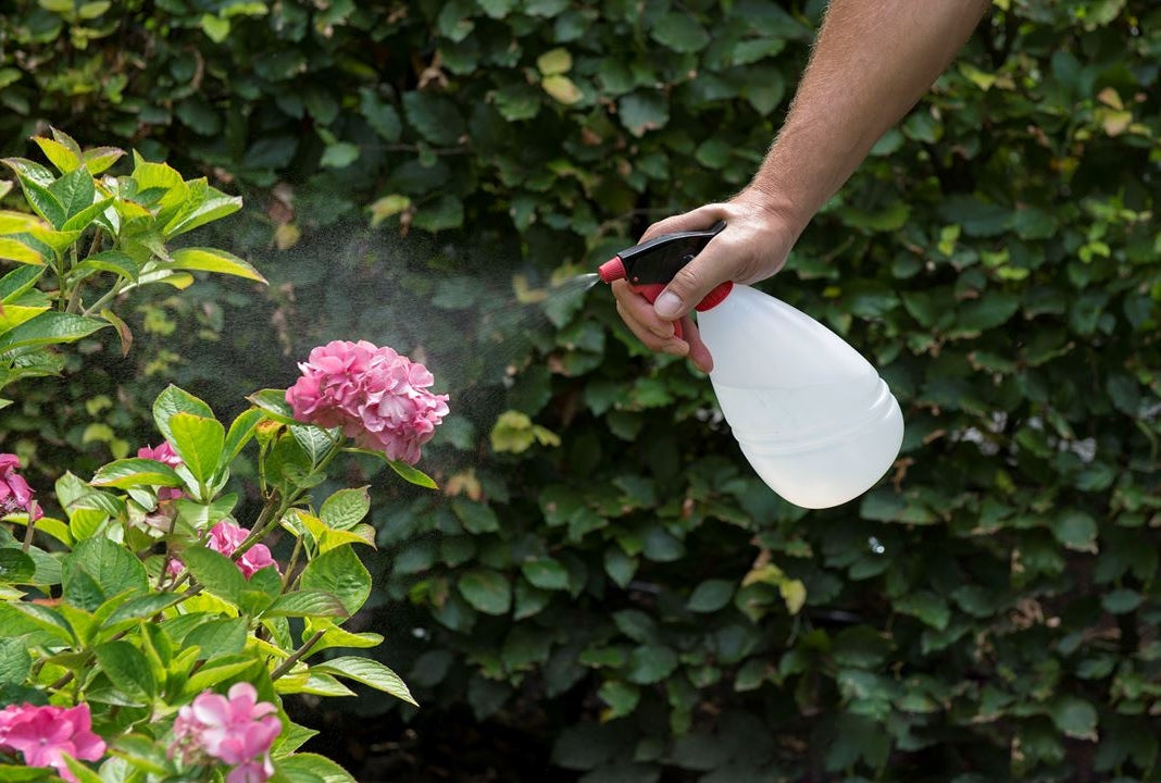 KREATOR KRTGR6801 Pflanzensprüher 1 Liter Drucksprüher Pumpsprüher Zerstäuber