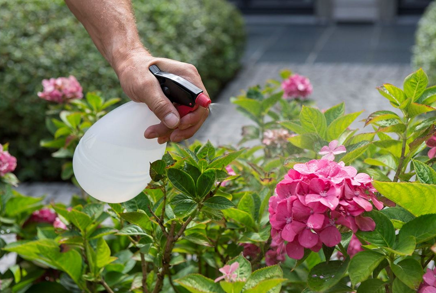 KREATOR KRTGR6801 Pflanzensprüher 1 Liter Drucksprüher Pumpsprüher Zerstäuber