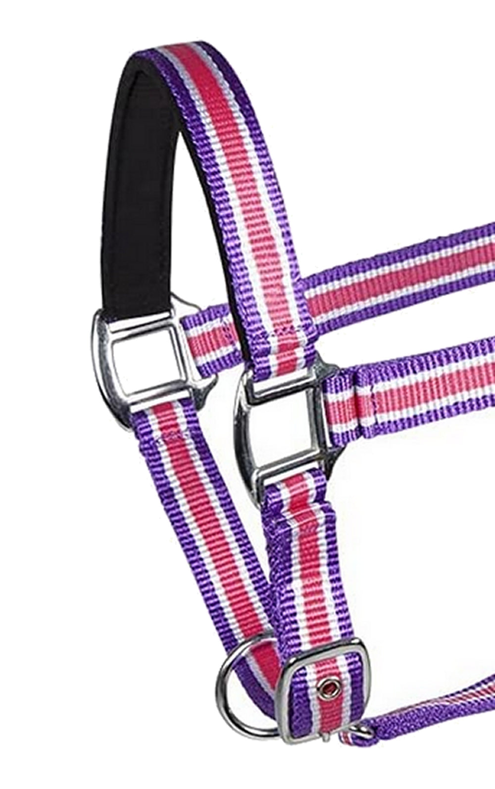 PFIFF 101517-181-Full Kunststoffhalfter unterlegt Größe WB/Full pink/weiß/lila