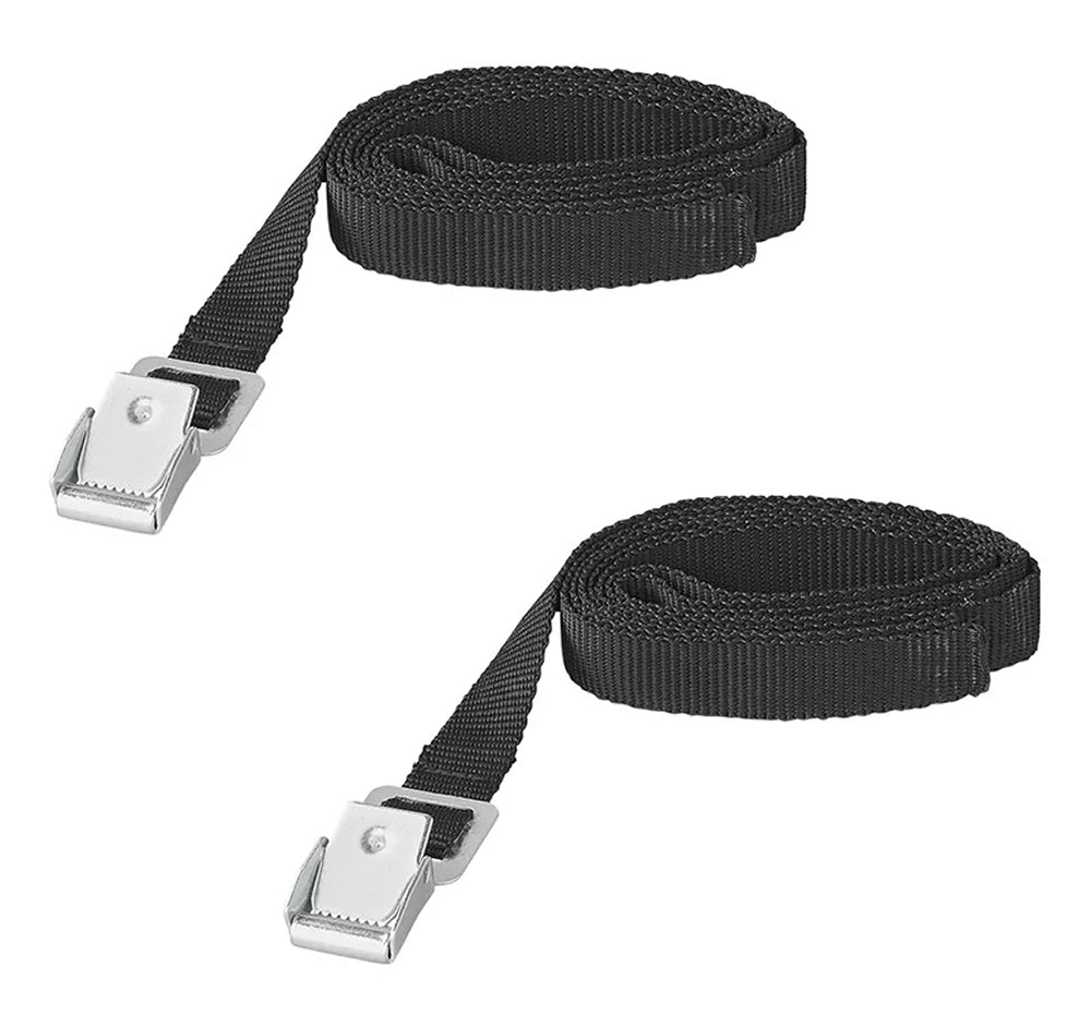 ProPlus 321295 Set Spannriemen mit Metallschnalle Breite 18mm Länge 150cm 2 Stück