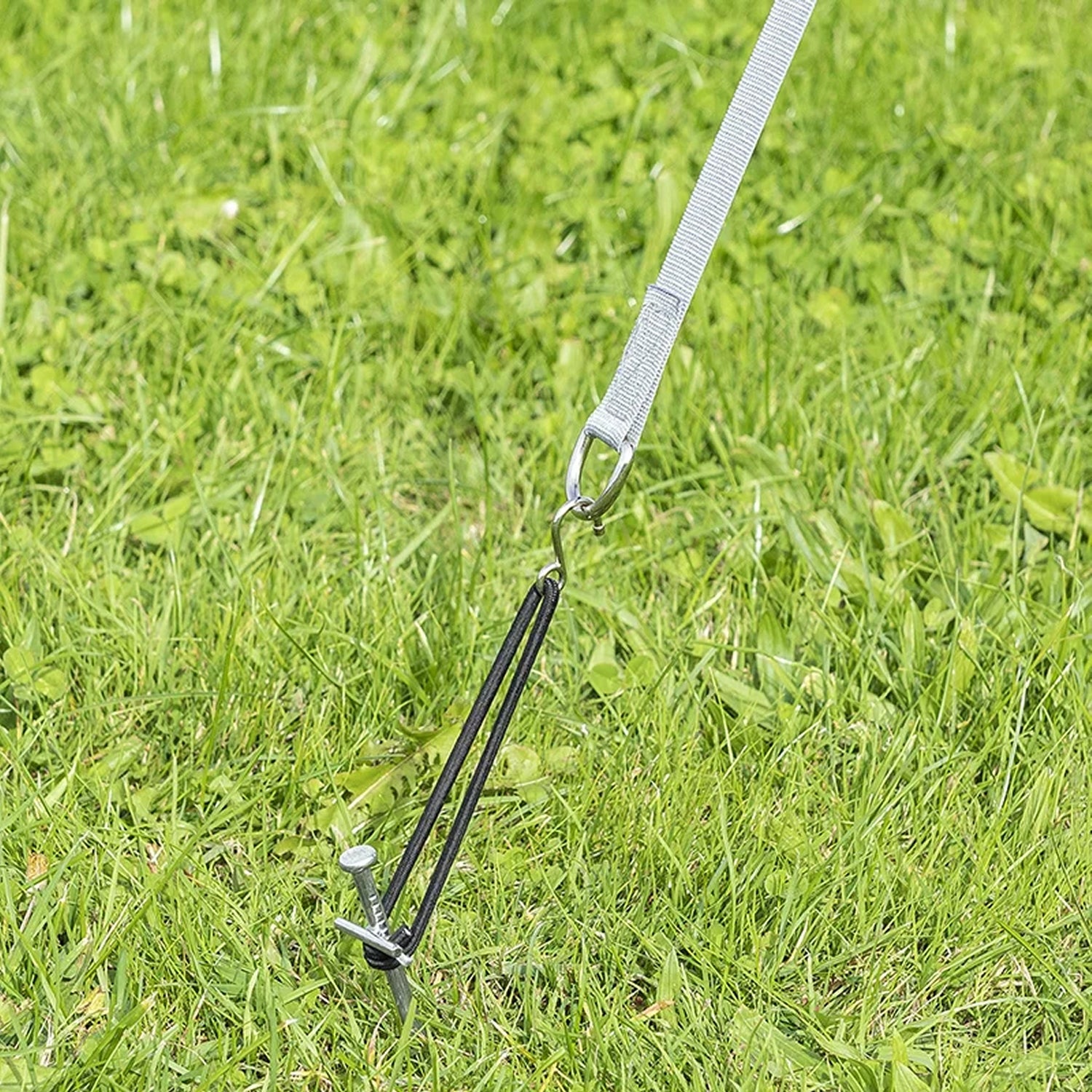 ProPlus 361720 Abspannset Abspannband Set 2 x 2,90 Meter Länge mit Heringen