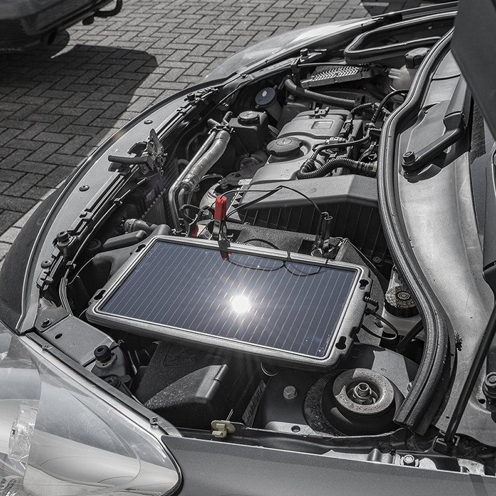 ProPlus 550062 Solarmodul Solarpanel Solarladegerät Batterieladegerät 12Volt GROSS