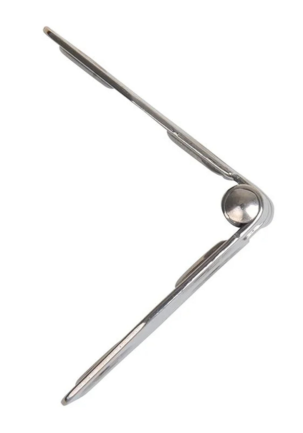 ProPlus SF_577804 Scharnier 100x40mm V4A RVS AISI 316 6 Loch