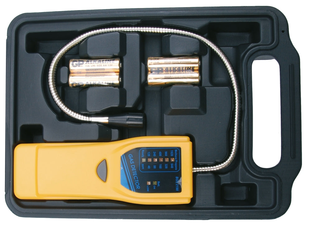 BGS 2198 Gasdetektor