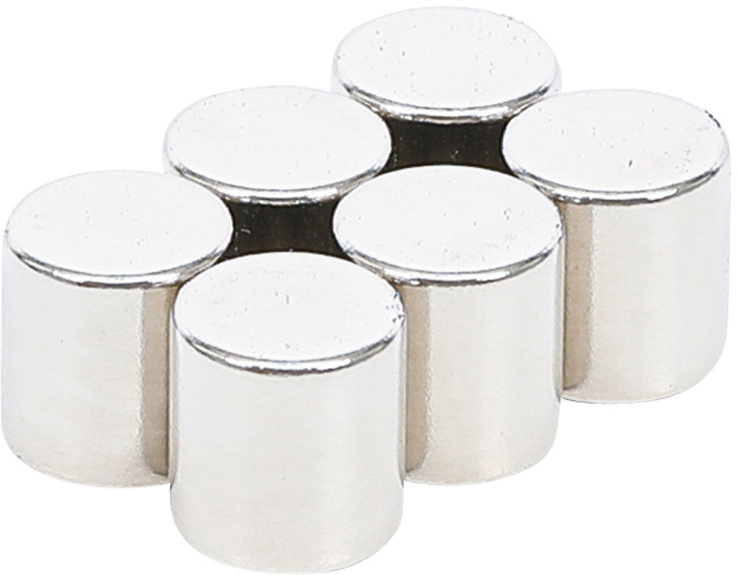 BGS DIY 79919 Satz Magnete extra stark Zylinderform Ø 9,5mm 6 teilig