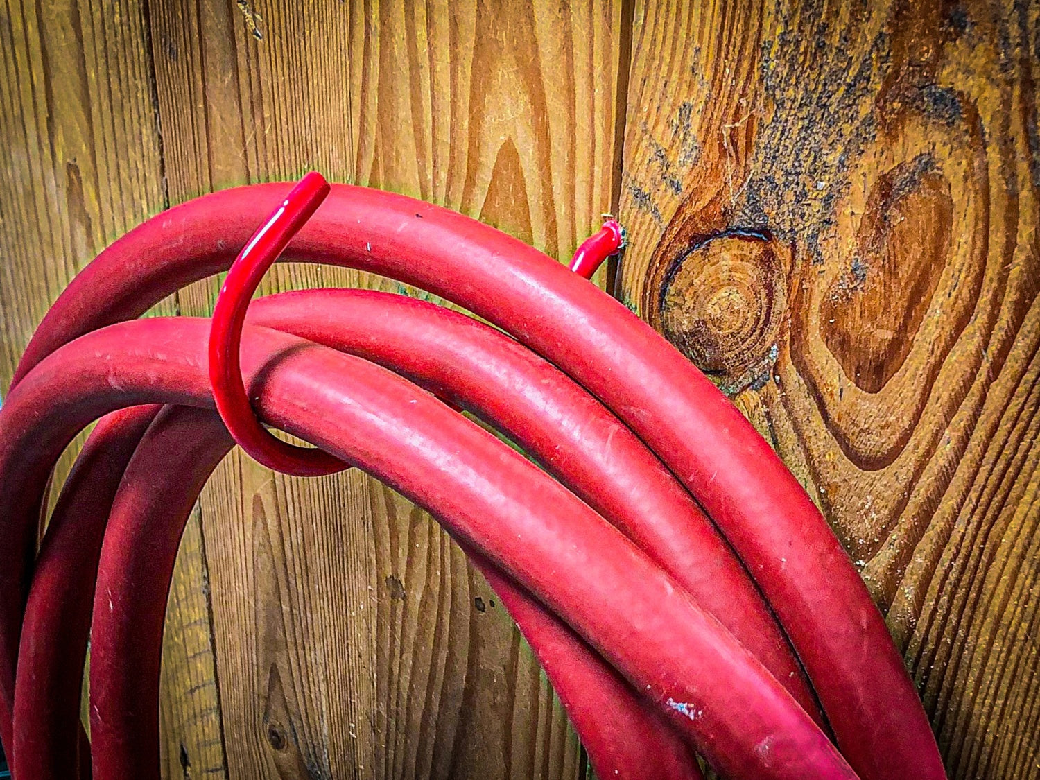 BGS DIY 88308 Sortiment Wand Decken Schraubhaken 8 teilig