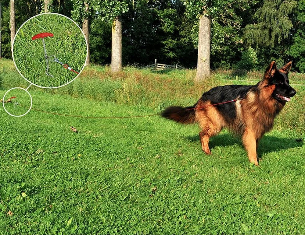 ProPlus 361854 Anlegespirale mit Handgriff Erdhaken Grundanker Hunde