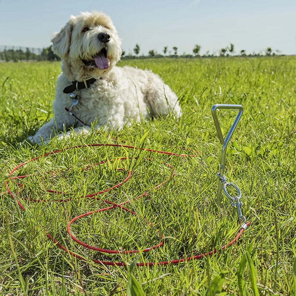 ProPlus 361857 Anlegespirale mit Kabelleine Erdhaken Grundanker Hunde Hundeleine