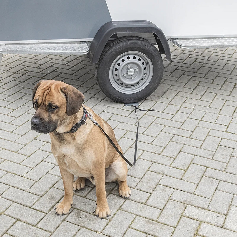ProPlus 361858 Dog Secure Hundesitter mobiler Bodenanker für Hunde